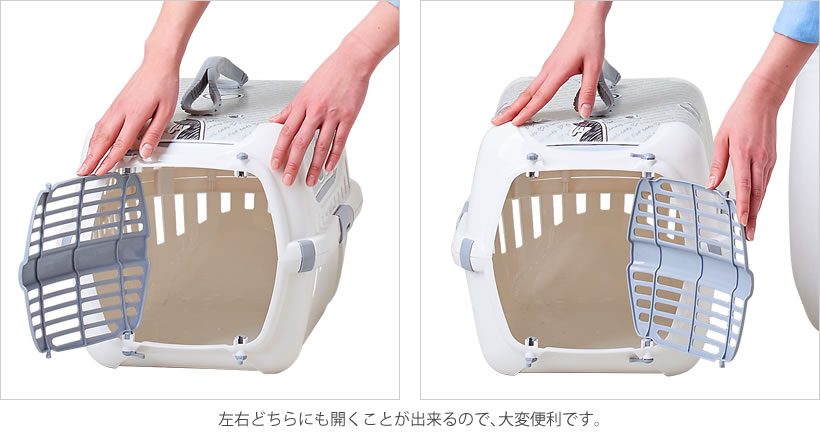 トレンディランナー キャットインラブ