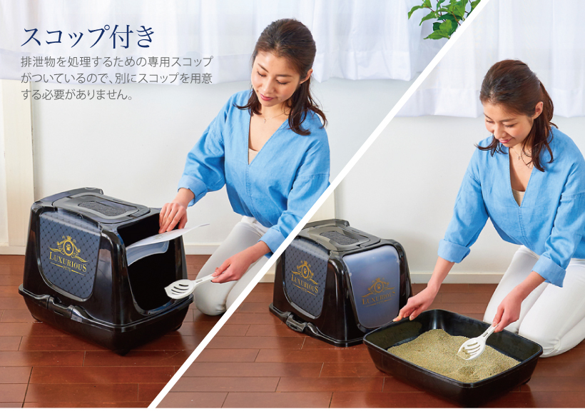 トレンディキャット ラグジュアリー