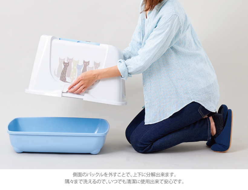 トレンディキャット マサイ