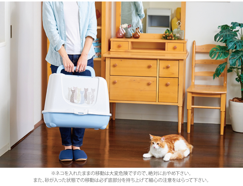 トレンディキャット マサイ