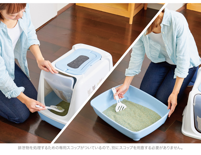 トレンディキャット マサイ