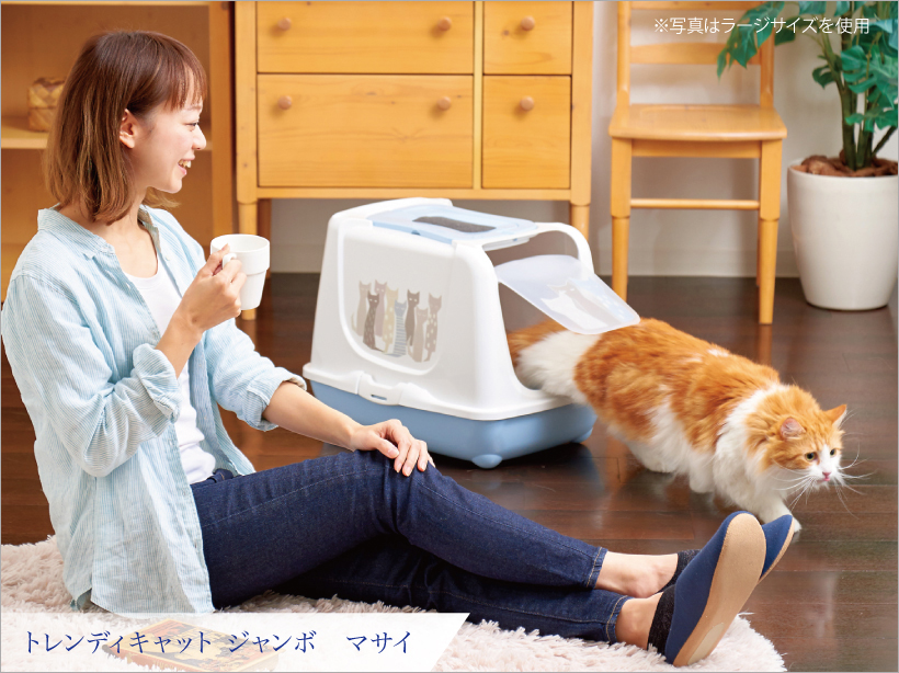 トレンディキャット マサイ