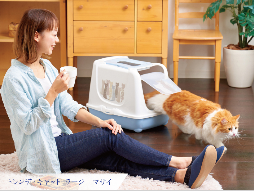 トレンディキャット マサイ