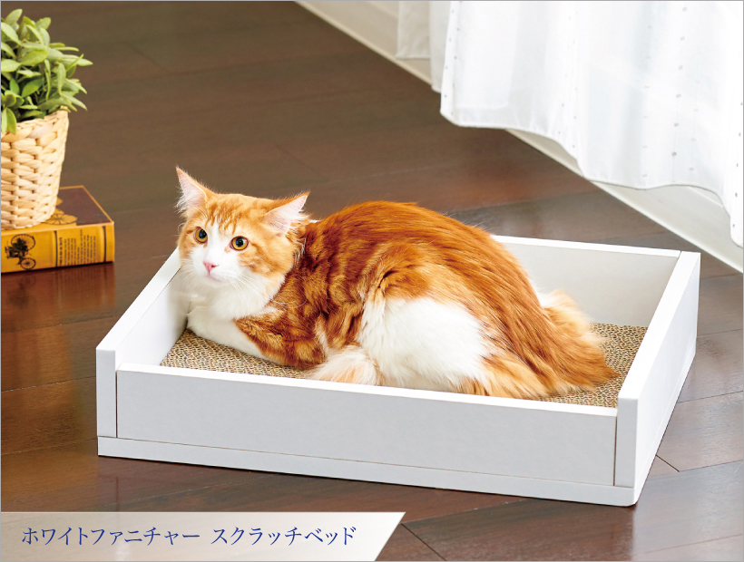 ホワイトファニチャー スクラッチベッド