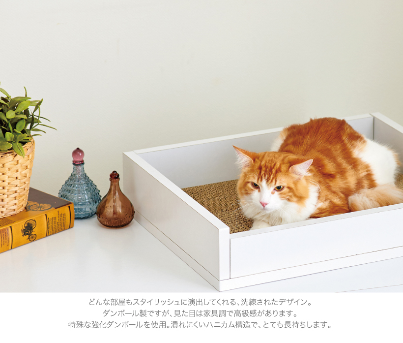 ホワイトファニチャー スクラッチベッド
