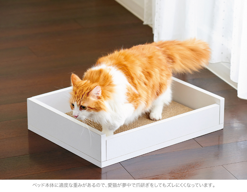 ホワイトファニチャー スクラッチベッド