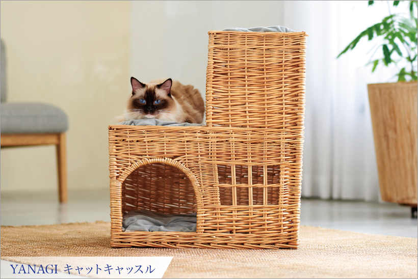 YANAGI キャッスル