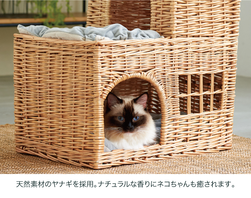 YANAGI キャッスル