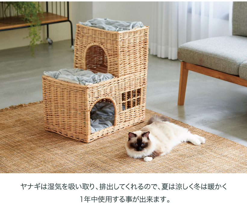YANAGI キャッスル