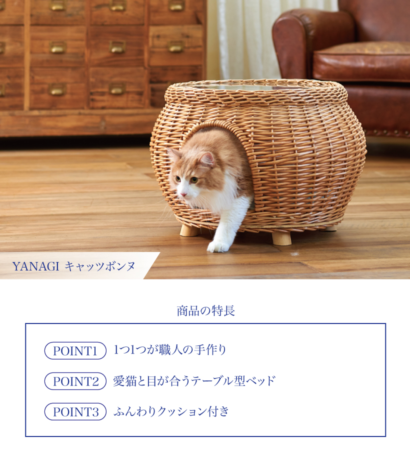 YANAGI キャッツボンヌ