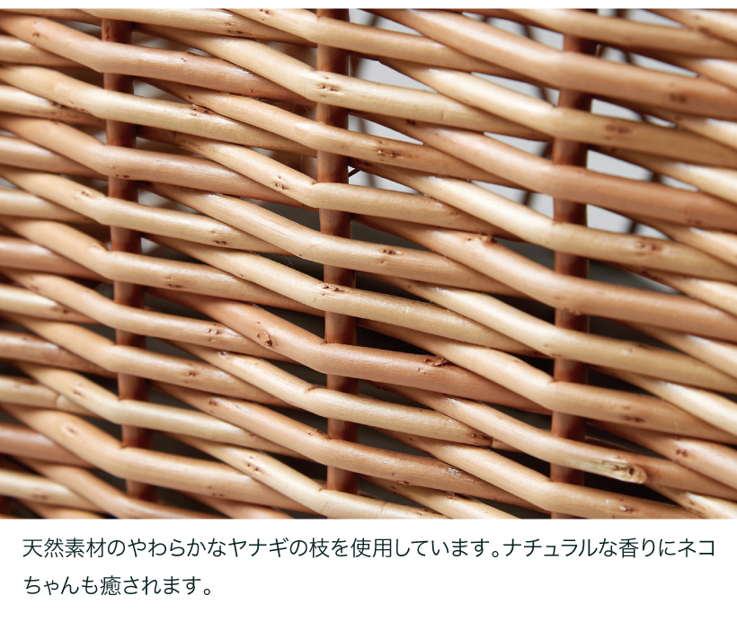YANAGI キャッツボンヌ