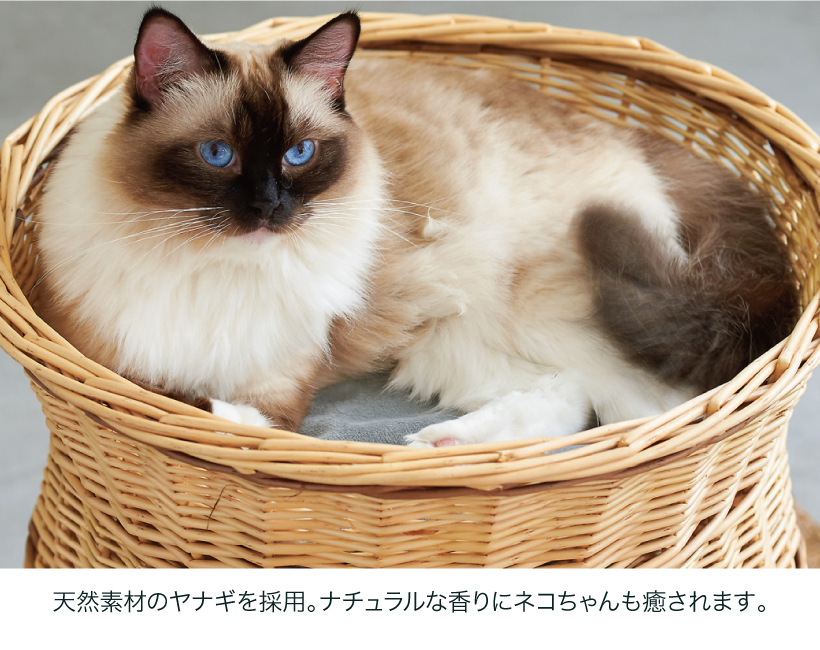 YANAGI チムニー