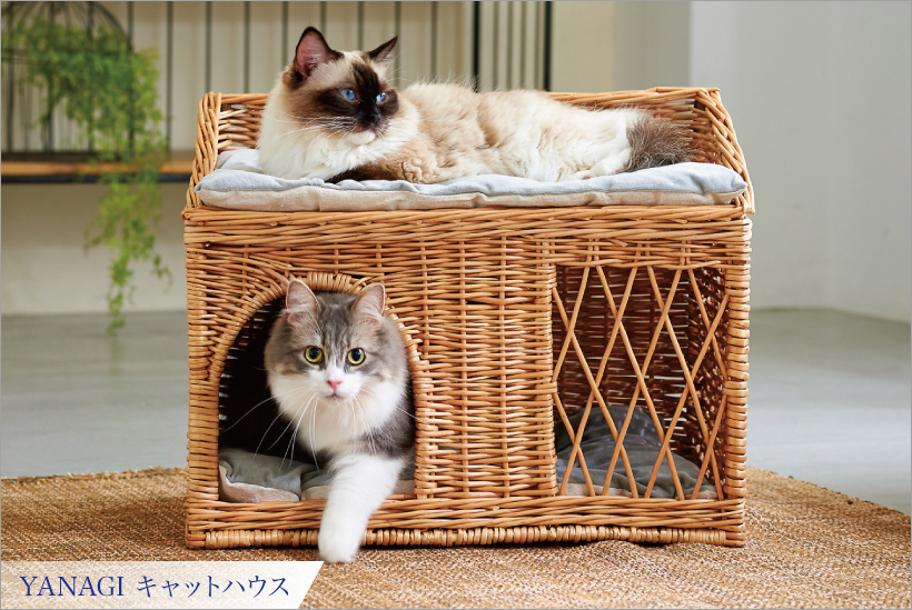 YANAGI キャットハウス