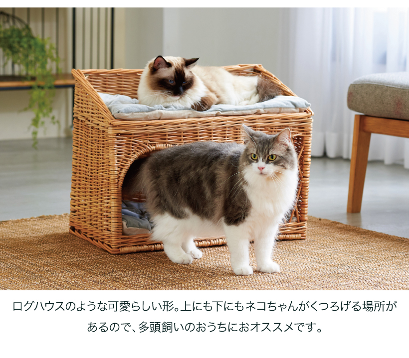 YANAGI キャットハウス