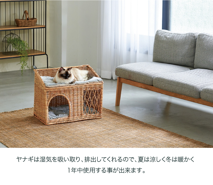 YANAGI キャットハウス