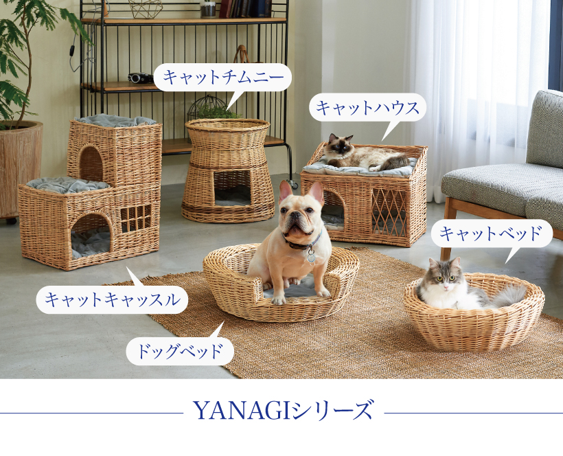 YANAGI キャットハウス