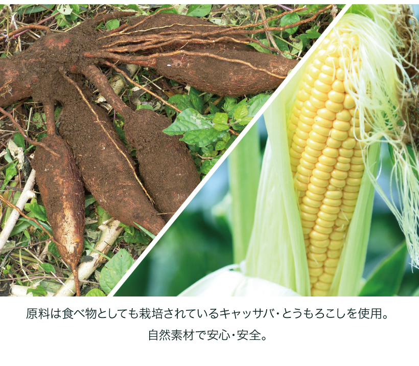 サスティナブリーユアーズ MULTI-CAT Plus