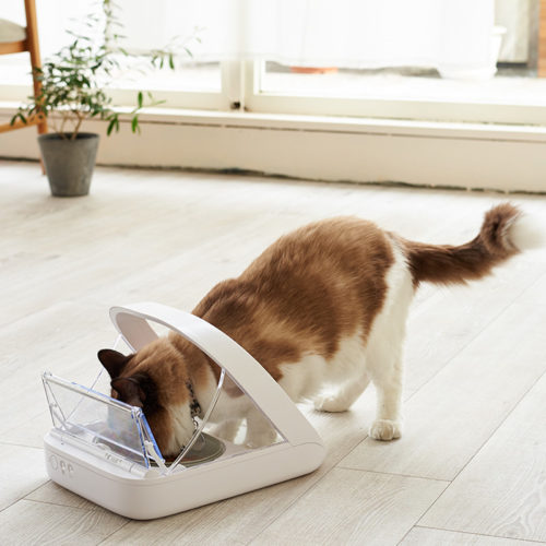 Surefeederフードの乾燥防止機能