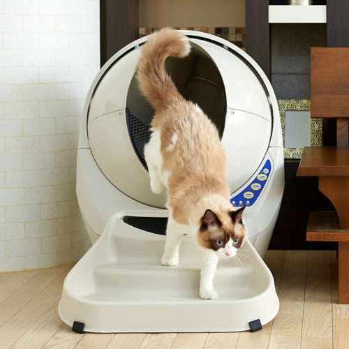 自動猫トイレのクリーニングサービス