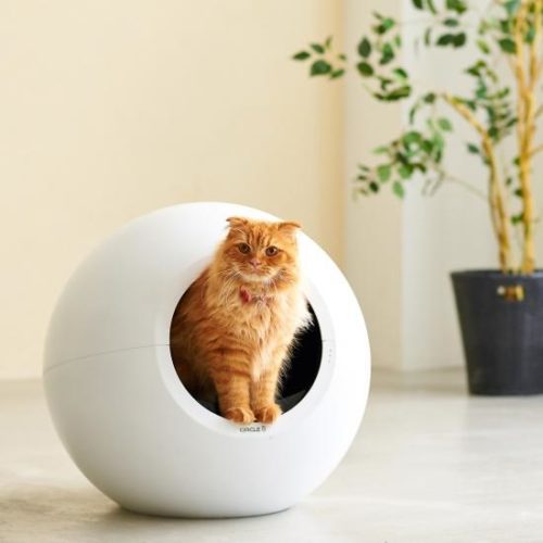 自動猫トイレ CIRCLE 0 サークルゼロ　自動　猫　トイレ　雑貨