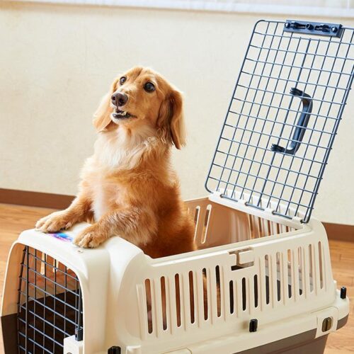 「ペットケンネル・ファーストクラス　トップオープン」が発売されました。