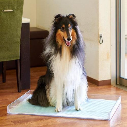 クリアレット2（L）スーパーワイドシーツサイズ　メッシュセット