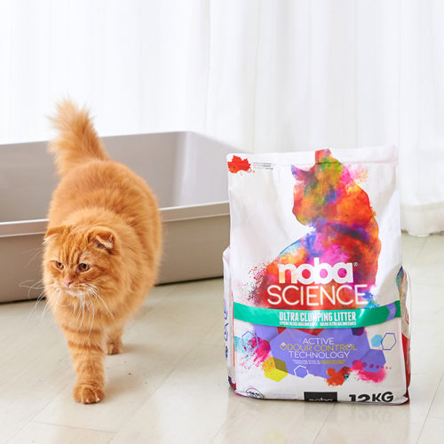 「Canada LITTER (Noba Science12kg/Multicat18kg)」が発売されました。