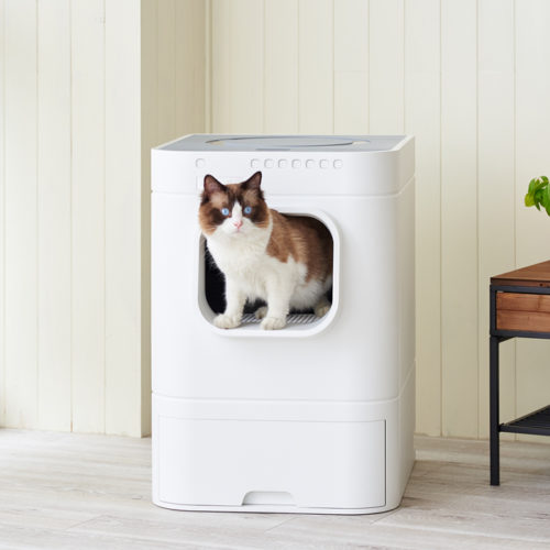 「Lavvie Bot S」が発売されました。