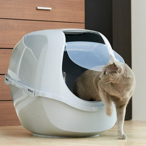 「メガスマート」が発売されました。