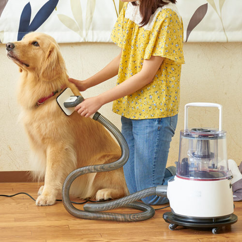 「OFT DOG CLEANER」が発売されました。