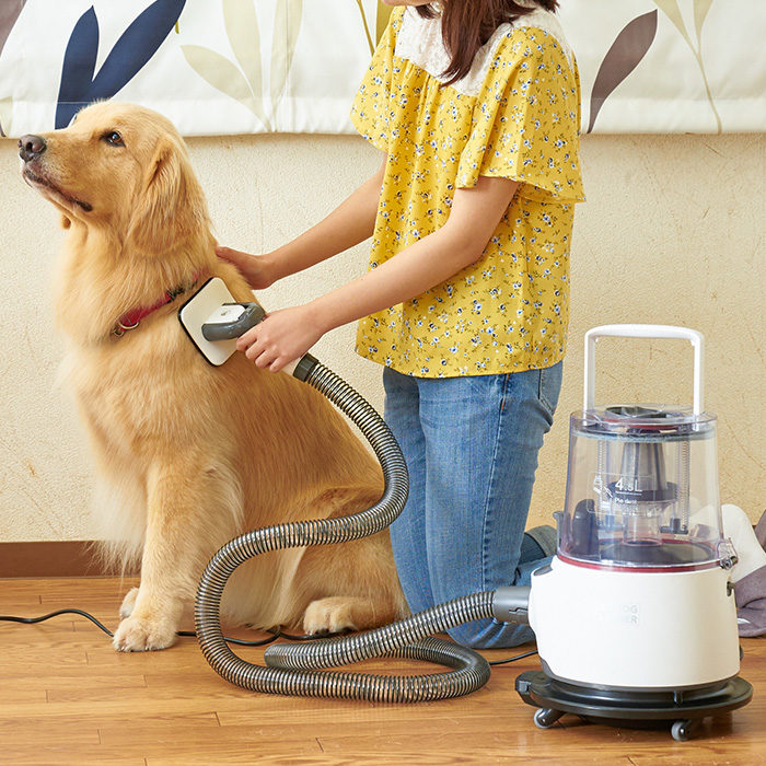 OFT DOG CLEANER」が発売されました。 | 株式会社オーエフティー