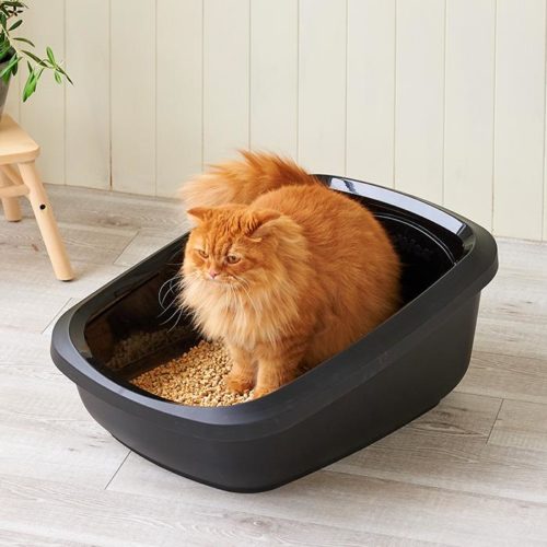 「PeeWeeシリーズ」が発売されました。