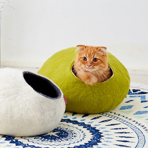 いつまでも大人気Kivikisの2層構造について