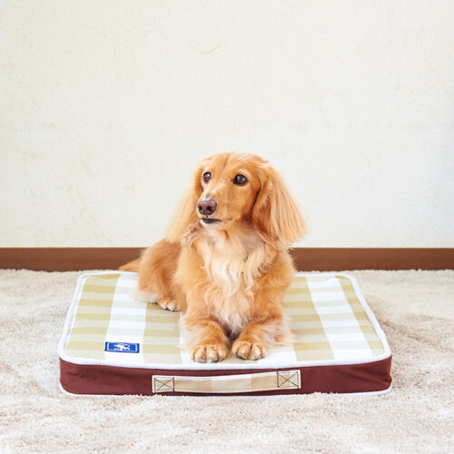 「犬の介護マット クッションエアー NEWブラウン」S、Mサイズが発売されました。