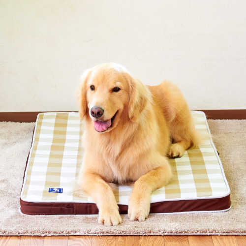 介護マット・クッションエアーの動画