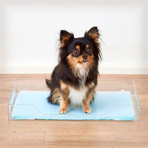 クリアレット2（S）レギュラーシーツサイズ　メッシュセット