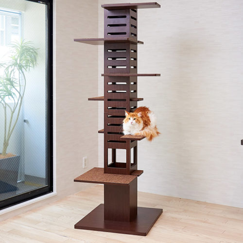 necobacoTのパーツ販売を開始しました