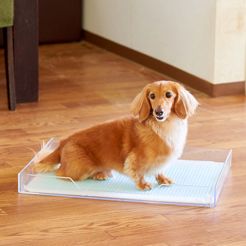 クリアレット2（M） ワイドシーツサイズ　メッシュセット