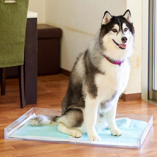 クリアレット2（L）スーパーワイドシーツサイズ　シーツストッパーセット