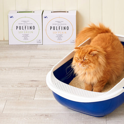 「PULFINO(パルフィノ)」が発売されました。