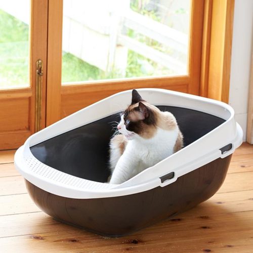 「メガトレー　ブラック」が発売されました。