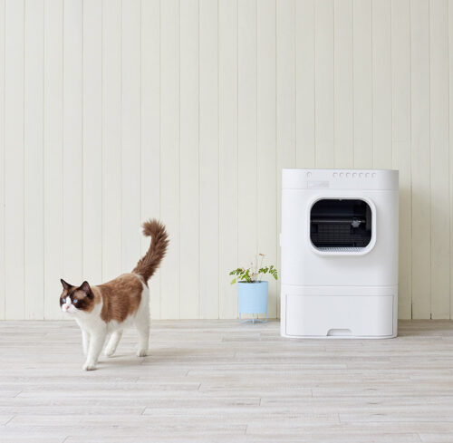 自動猫トイレLavvieBotの動画