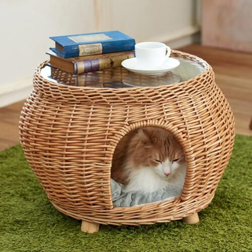 「YANAGI キャッツボンヌ」が発売されました。