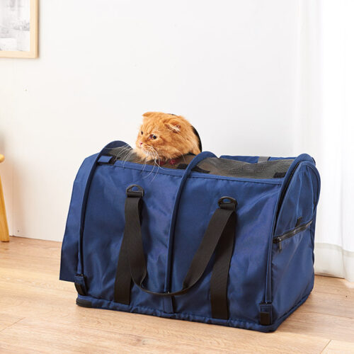 猫の気持ち5月号vol.192