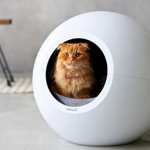 CercleZeroがWebメディアGIZMODOに掲載