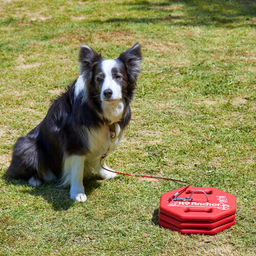 K9アンカーの動画