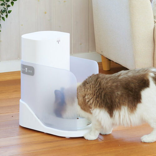 自動給餌器Catlink Oneで健康管理