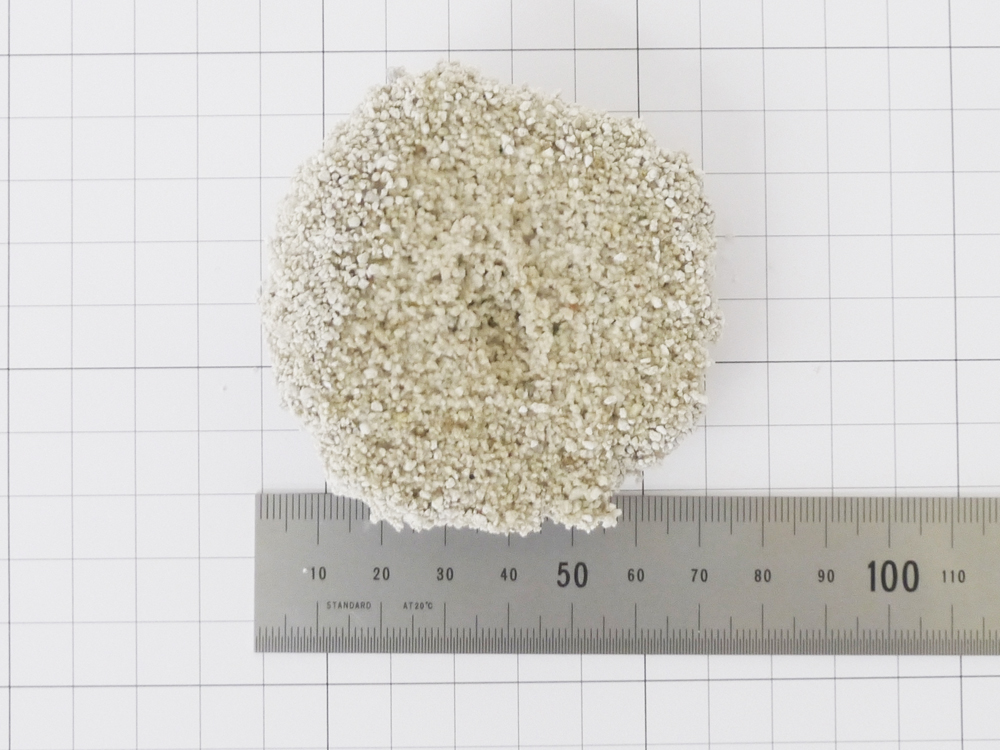 固まりの大きさ