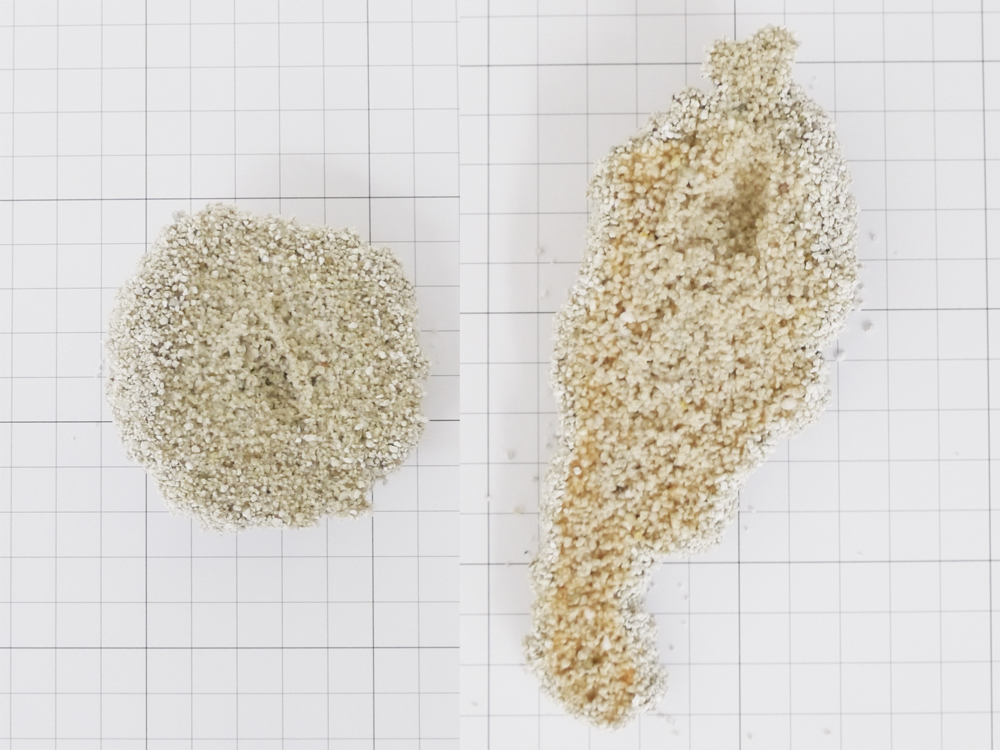 赤色の水の場合