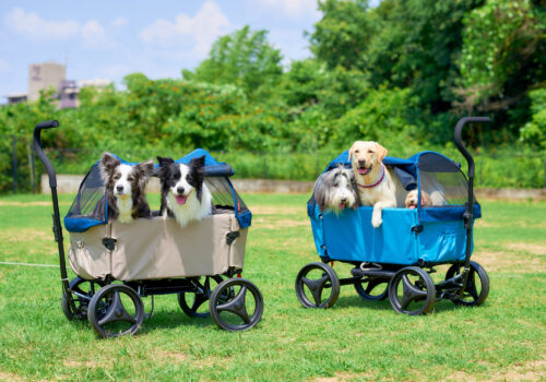 ブリーダーナビに「ibiyaya アウトドアペットワゴン」が紹介されました